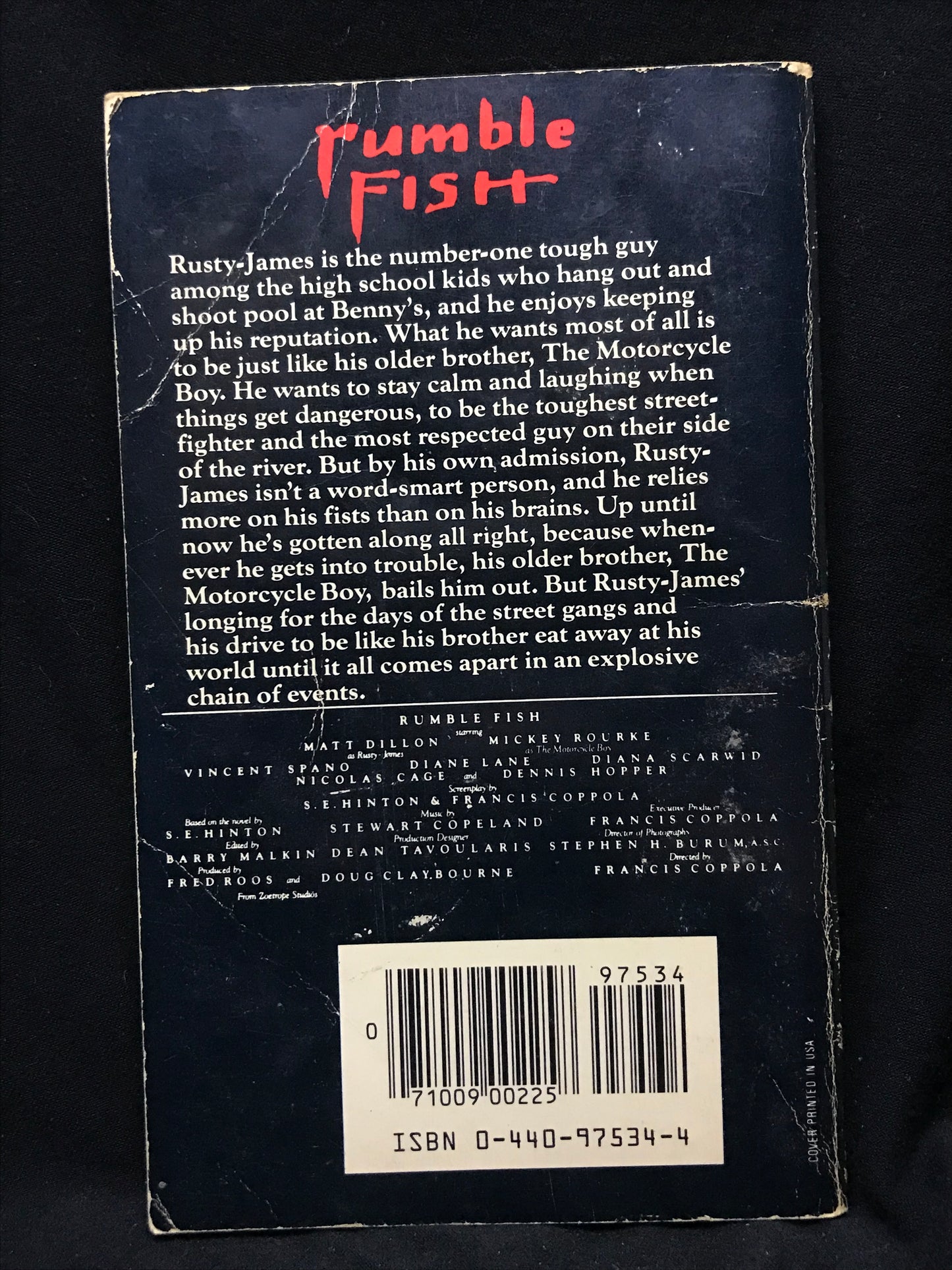 Rumble Fish by S. E. Hinton