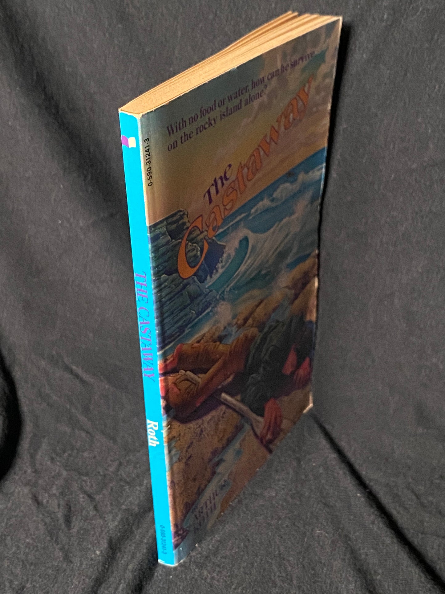 The Castaway by Arthur Ross