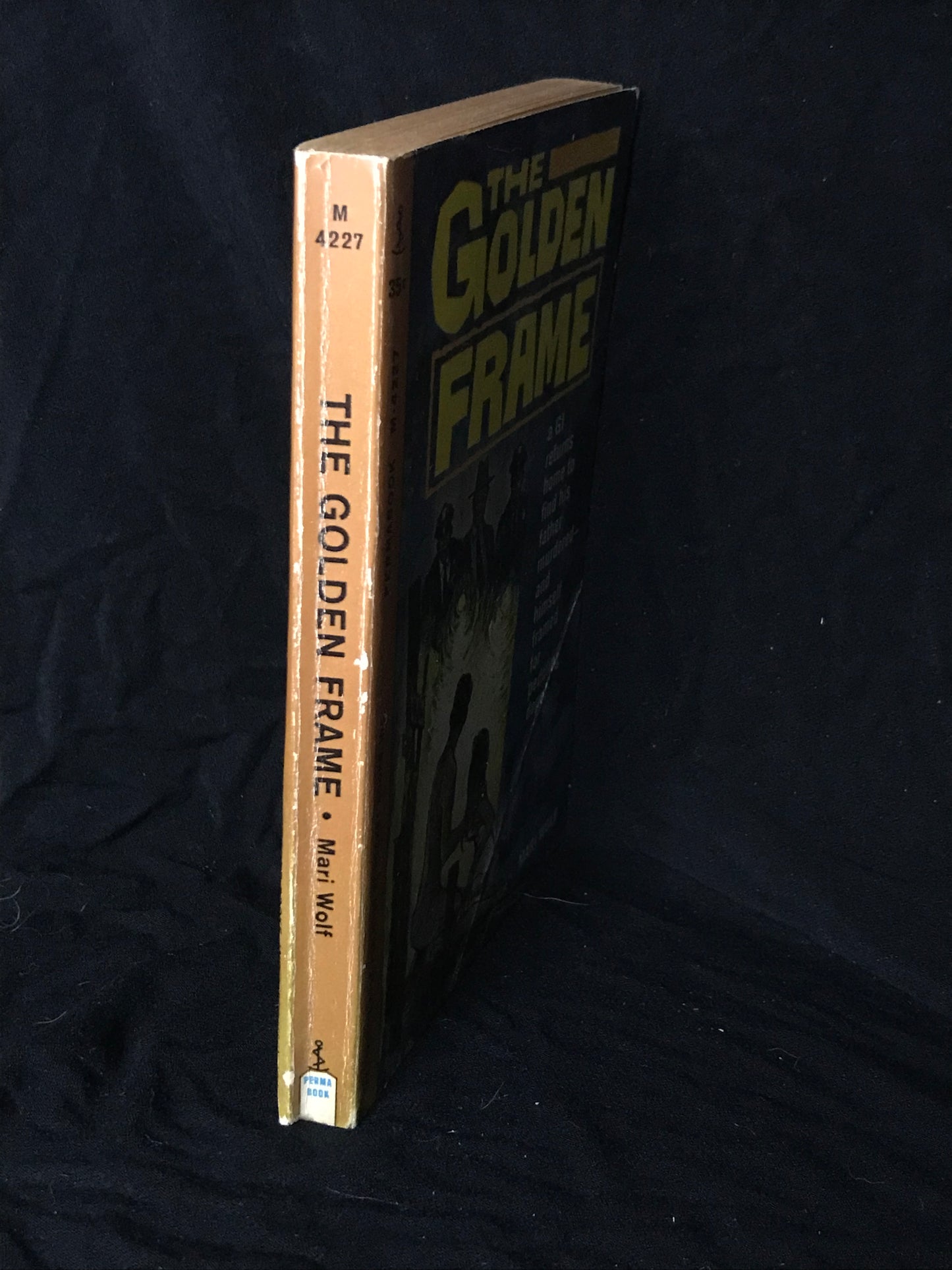 The Golden Frame by Mari Wolf