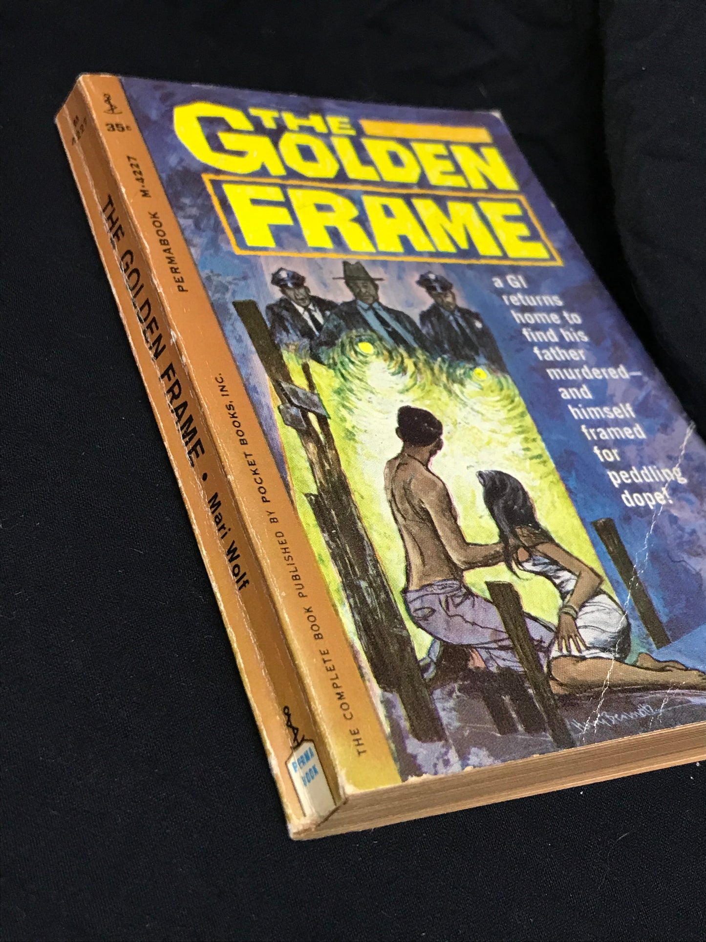 The Golden Frame by Mari Wolf