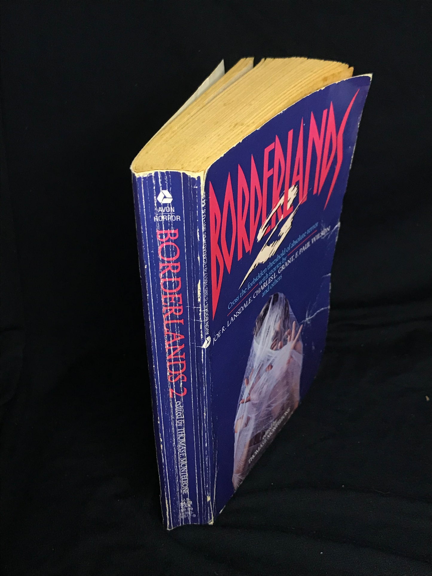 Borderlands 2 edited by Thomas E. Monteleone