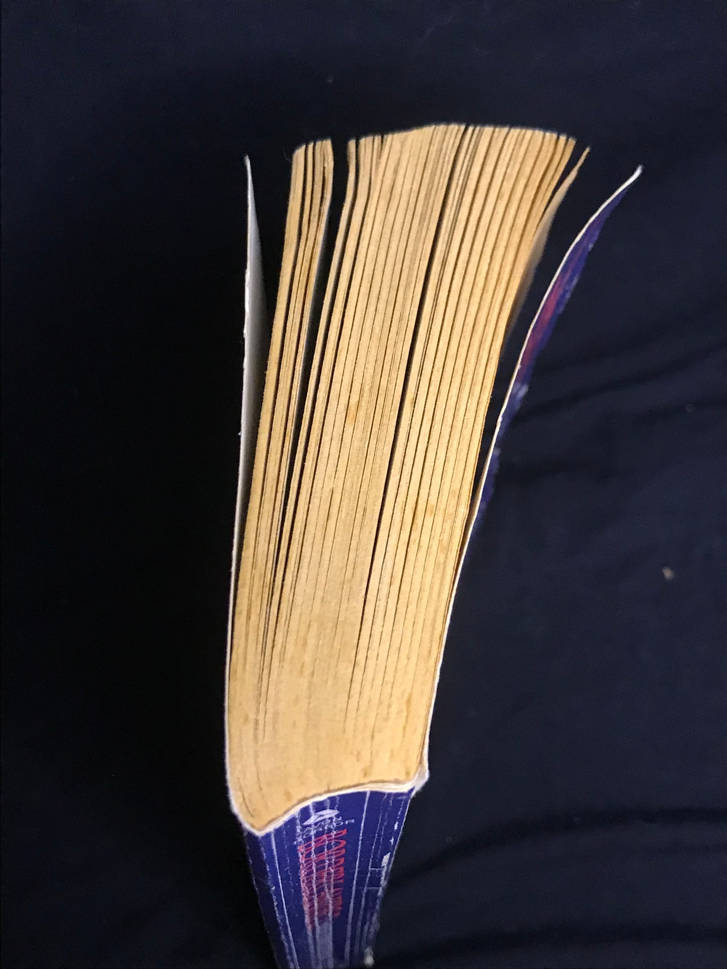 Borderlands 2 edited by Thomas E. Monteleone