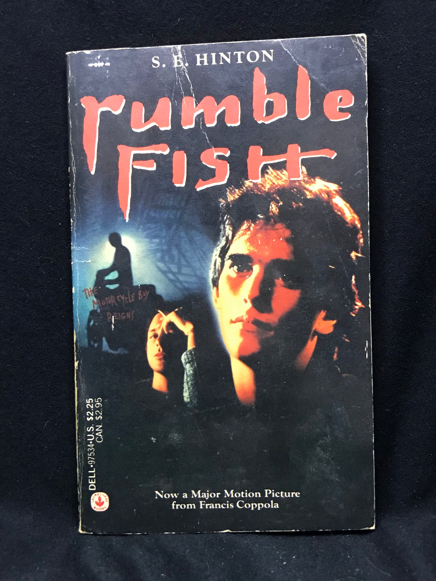 Rumble Fish by S. E. Hinton