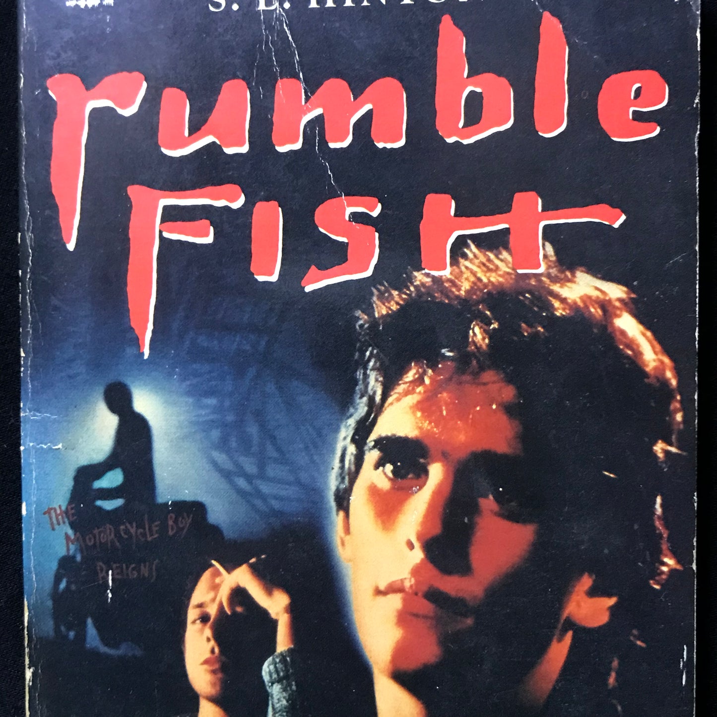 Rumble Fish by S. E. Hinton