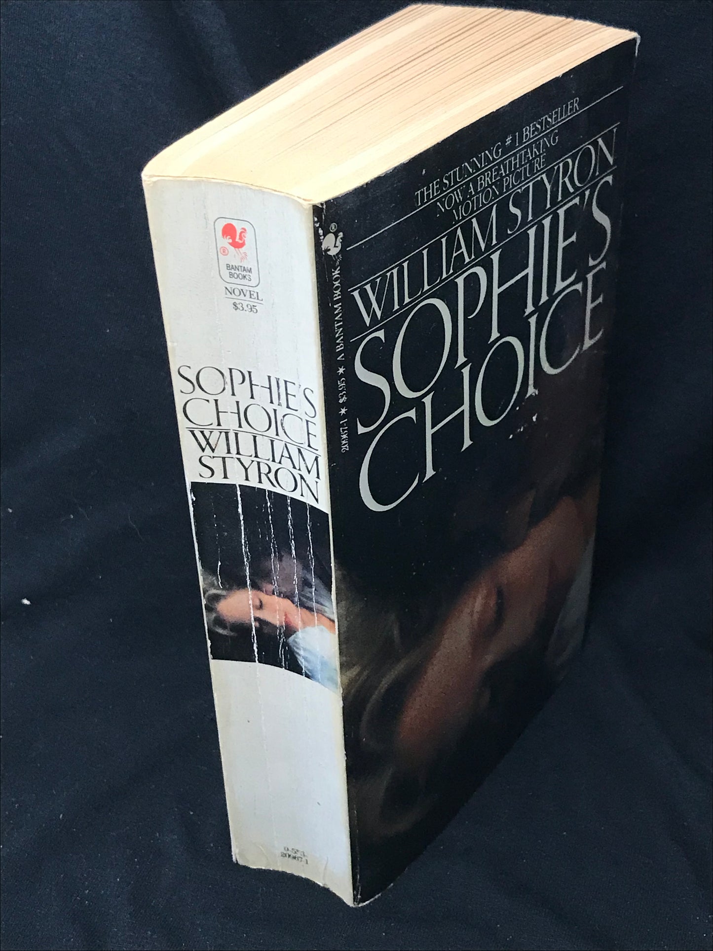 Sophie's Choice by William Styron