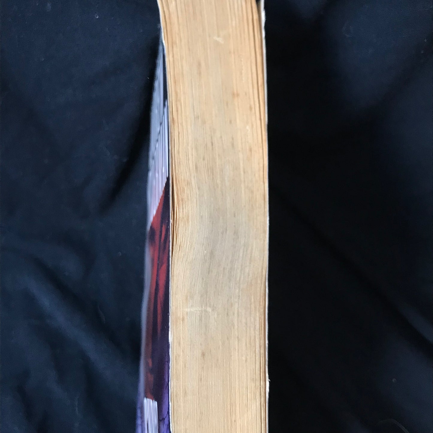 Curse by Andrew Neiderman